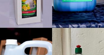 StarQt Essentials  Dish Washing Liquid